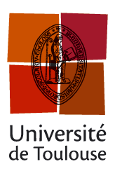 Logo University Toulouse